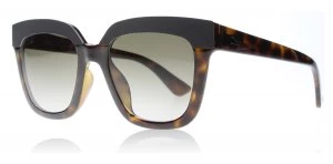 Christian Dior DiorSoft2 Sunglasses Black / Havana EDJHA 51mm