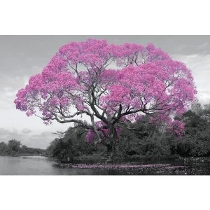 Tree Blossom Poster