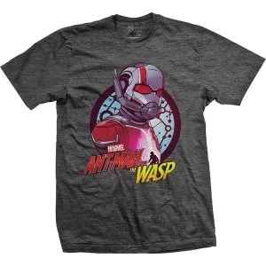 Marvel Comics - Ant Man & The Wasp Circle Comp. Unisex Large T-Shirt - Grey