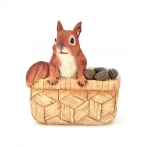 Country Living Squirrel in a Basket Planter
