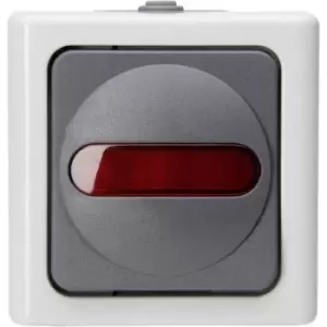 Kopp 561656007 Wet room switch product range Complete Control switch BlueElectric Grey