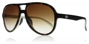 adidas Originals 12.148 Sunglasses Havana / White 12.148 56mm