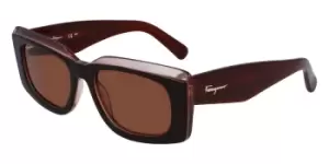 Salvatore Ferragamo Sunglasses SF 1079S 211