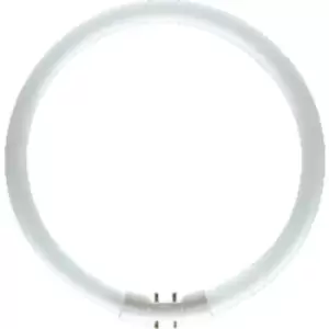 OSRAM Fluorescent tube EEC: G (A - G) 2GX13 40 W Cool white 840 Ring shape (Ø x L) 16mm x 305mm