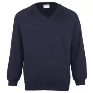 Maddins Mens Coloursure V-Neck Sweatshirt (M) (Navy)