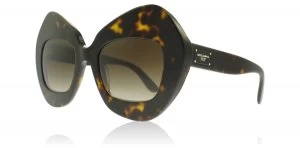 Dolce & Gabbana DG4290 Sunglasses Havana 502/13 51mm