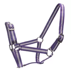 Roma Headcollar and Lead Rope Set - Purple
