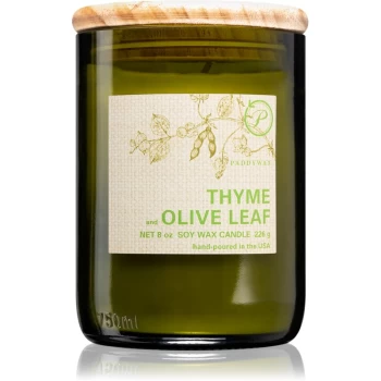 Paddywax Eco Green Thyme & Olive Leaf scented candle 226 g
