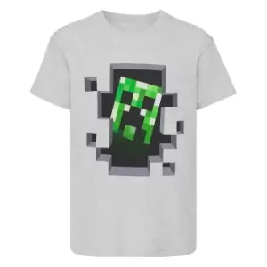 Minecraft Childrens/Kids Creeper T-Shirt (5-6 Years) (Grey)
