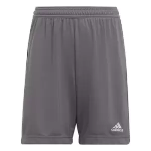 adidas ENT22 Shorts Juniors - Grey