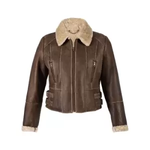 Eastern Counties Leather Womens/Ladies Ella Cropped Sheepskin Flying Jacket (10) (Chocolate Forest)