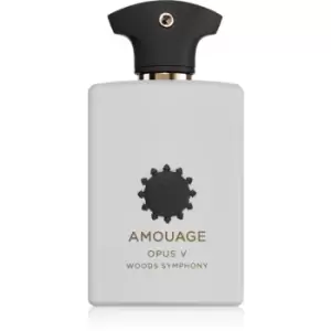 Amouage Opus V: Woods Symphony eau de parfum unisex 100ml