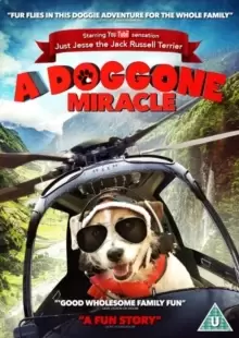A Doggone Miracle