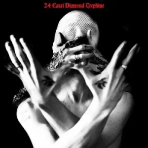 24 Carat Diamond Trephine by Avalanche Party CD Album
