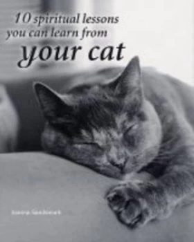 10 Spiritual Lessons You Can Learn from Your Cat by Joanna Sandsmark Hardback