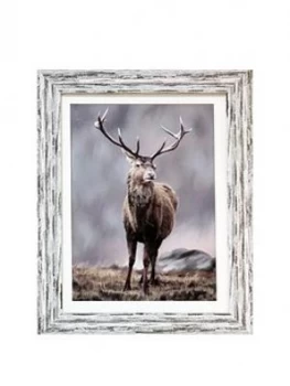 Arthouse Highland Stag Framed Print