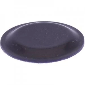 Foot self adhesive circular Black x H 19mm x 1.9mm TOOLCR