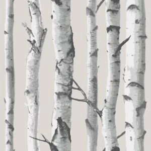 Wallpops Birch tree Grey Peel stick wallpaper L5500mm W520mm