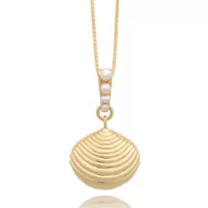 Rachel Jackson London Gold Plated Treasured Shell Necklace