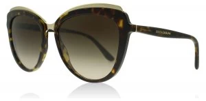 Dolce & Gabbana DG4304 Sunglasses Havana 502/13 57mm
