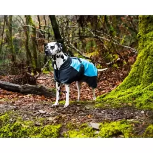 Henry Wag Waterproof Dog Coat Small 40Cm