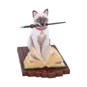 Hocus Pocus (Lisa Parker) Cat Ornament