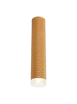 1 Light 30cm Surface Mounted Ceiling GU10, Champagne Gold, Acrylic Ring