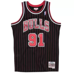 Mitchell And Ness Nba Chicago Bulls 1995-96 Alternate Swingman Jersey Dennis Rodman, Black, Male, Basketball Jerseys, SMJYGS18150-CBUBLCK9
