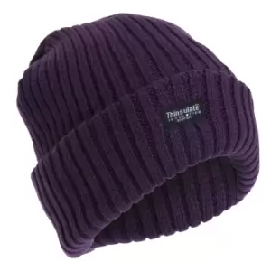 FLOSO Ladies/Womens Chunky Knit Thermal Thinsulate Winter/Ski Hat (3M 40g) (One Size) (Plum)