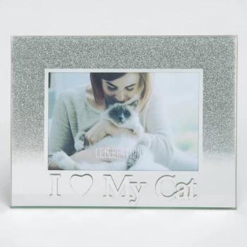 5" x 3.5" Silver Glass Frame - I Love My Cat