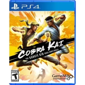 Cobra Kai Karate Kid Saga Continues PS4 Game