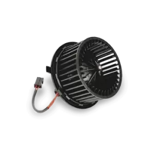 THERMOTEC Electric Motor, interior blower DDS003TT VW,AUDI,SKODA,POLO (9N_),Polo Schragheck (6R1, 6C1),Polo Limousine (9A4, 9A2, 9N2, 9A6)