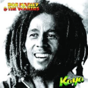 Bob Marley & the Wailers - Kaya 12" LP