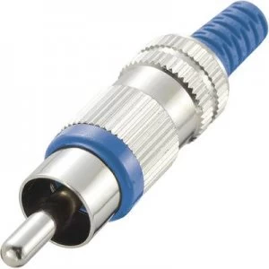RCA connector Plug straight Number of pins 2 Blue Conrad Components