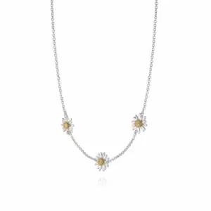 Daisy London Jewellery 925 Sterling Silver and 18ct Gold Plate Three English Daisy Chain Necklace