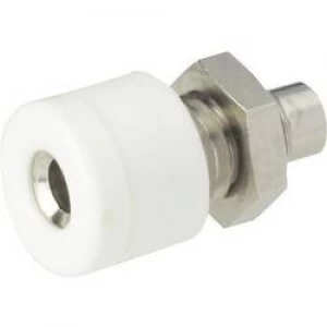 Mini jack socket Socket vertical vertical Pin diameter 2.6mm White
