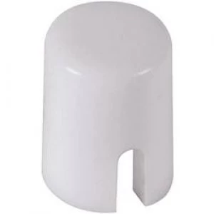 Diptronics KTSC 62R Cap For Low cost Tact Switch Cap round 6mm ivory Red Compatible with details Low cost toggle swit