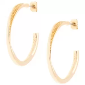 Ladies Karen Millen Gold Plated Textured Twist Hoop Earring