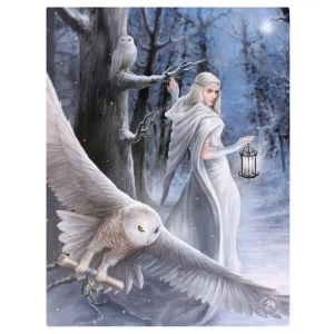 Small Midnight Messenger Canvas Picture by Anne Stokes