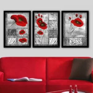 3SC120 Multicolor Decorative Framed Painting (3 Pieces)