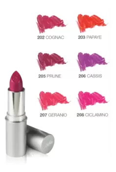 BioNike Defense Color LipShine Brilliant Lipstick Color 205 Prune