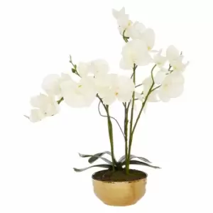 Interiors by PH Faux Orchid Plant in Gold Bowl, none