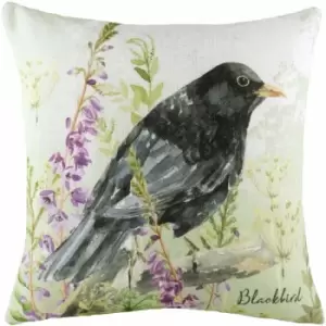 Evans Lichfield Blackbird Cushion Cover (43cm x 43cm) (Multicoloured) - Multicoloured