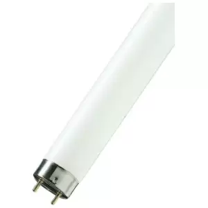 Philips Fluorescent 4ft T8 Tube 36W MASTER TL-D 90 Graphica Daylight