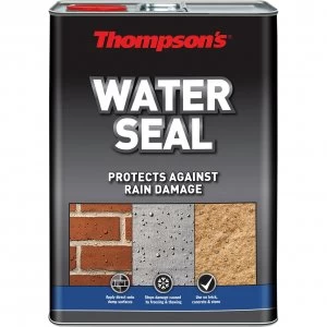 Ronseal Thompsons Water Seal 1l