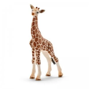 Schleich Wild Life Giraffe Calf Toy Figure