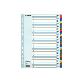 Mylar 1-20 Part Dividers A4 - Multi-coloured - Outer Carton of 10
