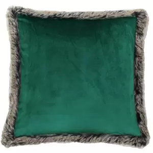 Riva Home Kiruna Faux Fur Edged Velvet Style Square Cushion Cover (45 x 45cm) (Emerald Green)