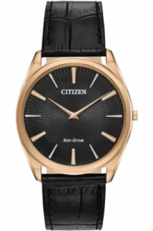 Citizen Watch AR3073-06E