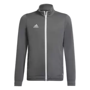adidas ENT22 Track Jacket Juniors - Grey